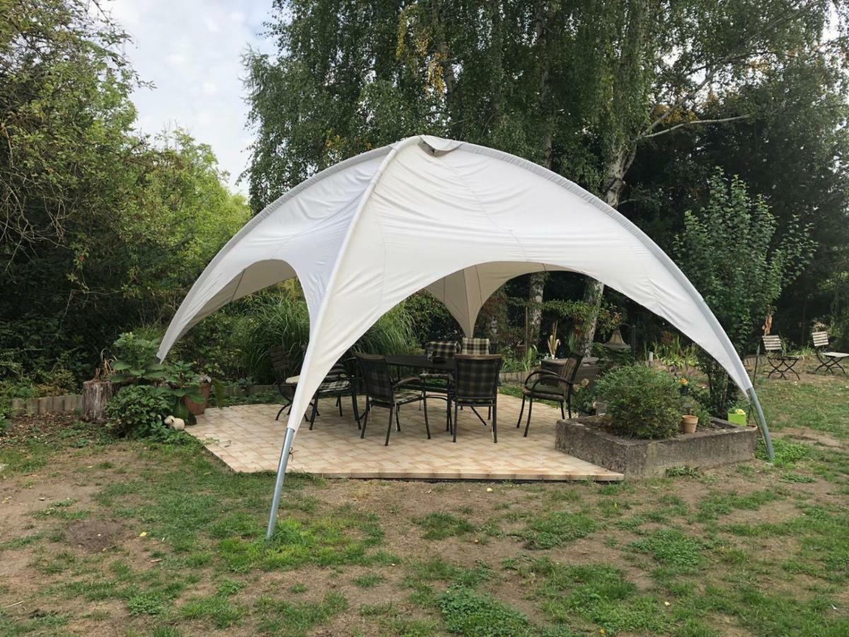 Ferienwohnung Schwemmer 皮尔纳 外观 照片