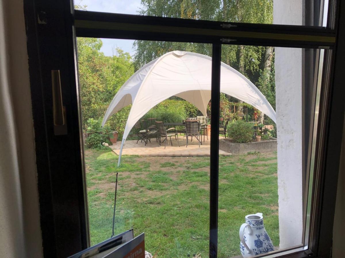 Ferienwohnung Schwemmer 皮尔纳 外观 照片