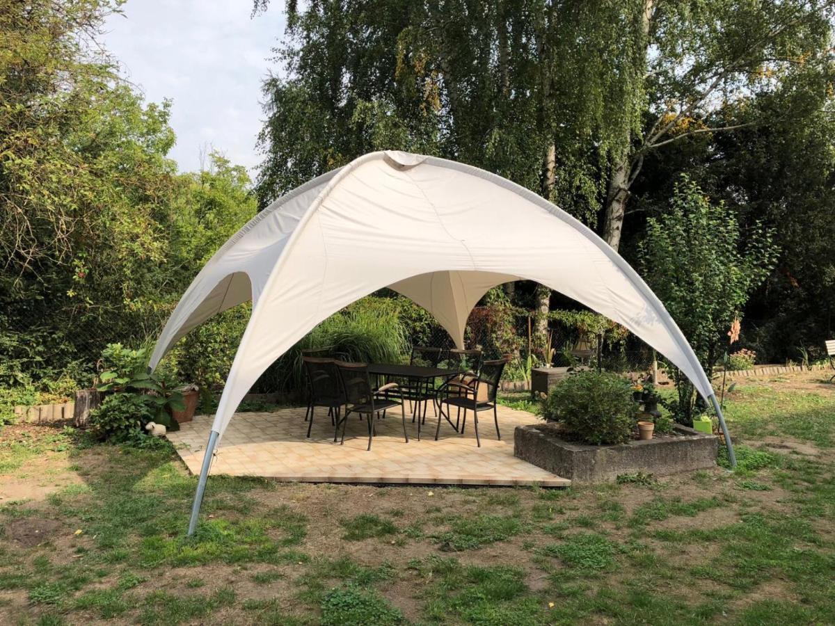 Ferienwohnung Schwemmer 皮尔纳 外观 照片