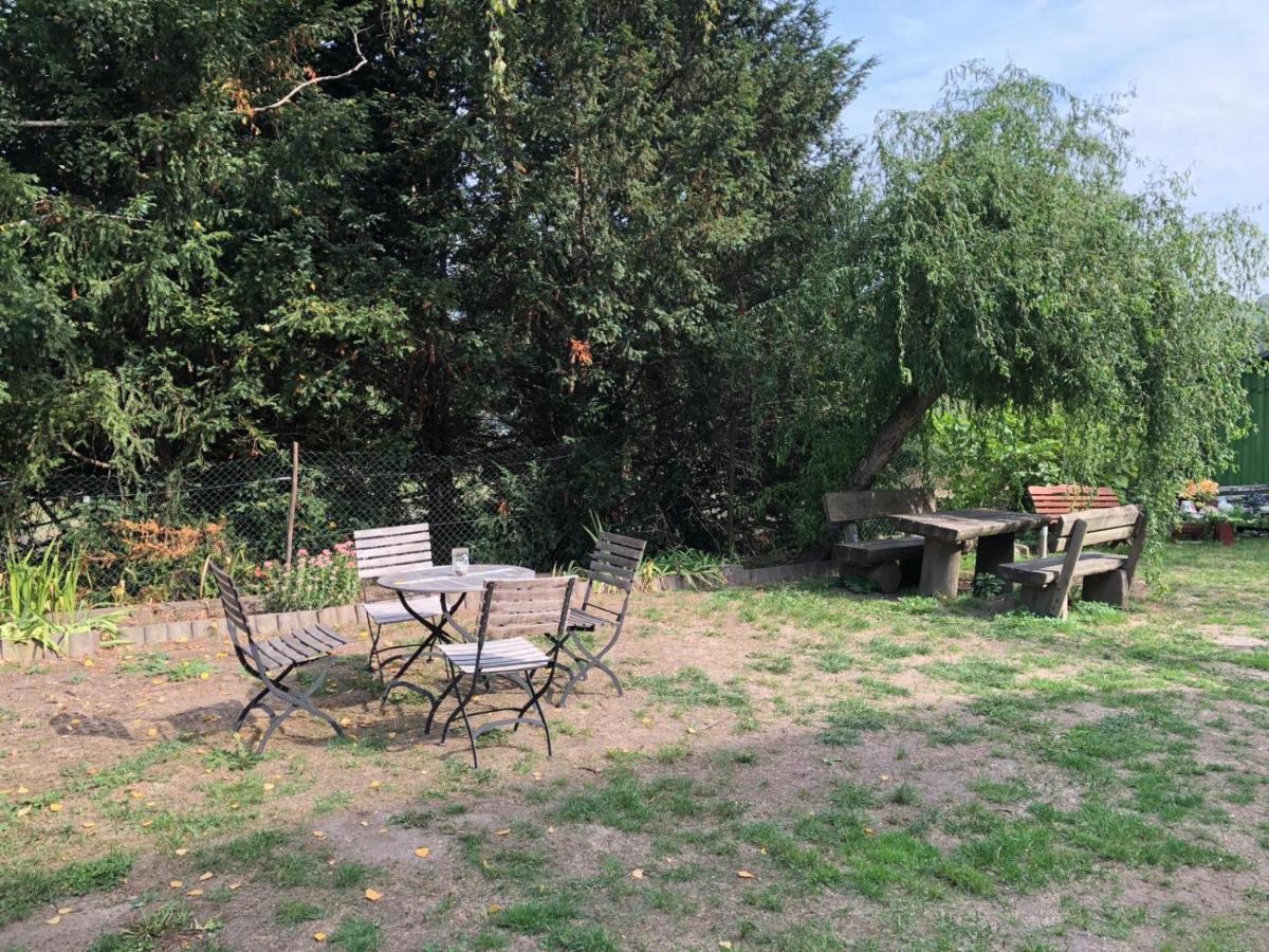 Ferienwohnung Schwemmer 皮尔纳 外观 照片